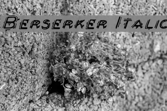 Berserker Italic Font examples