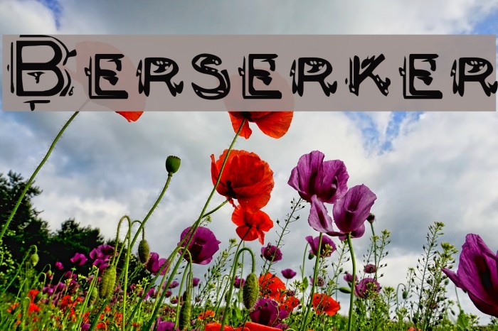 Berserker Example 2