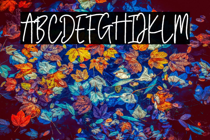 Bersihkan Vector Example 1