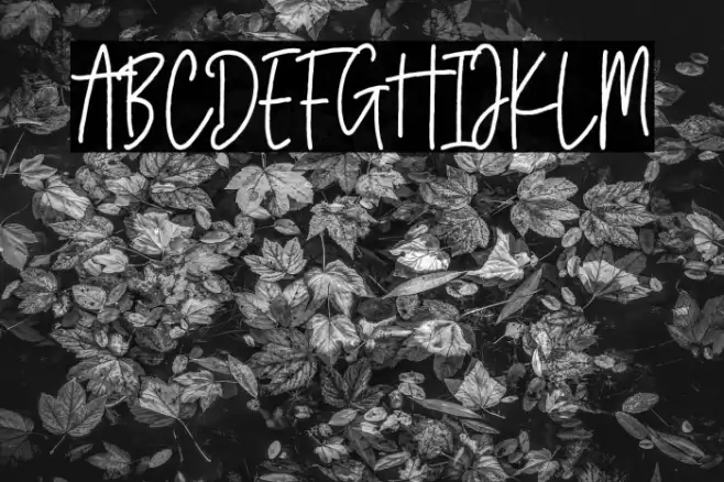 Bersihkan Vector Font examples