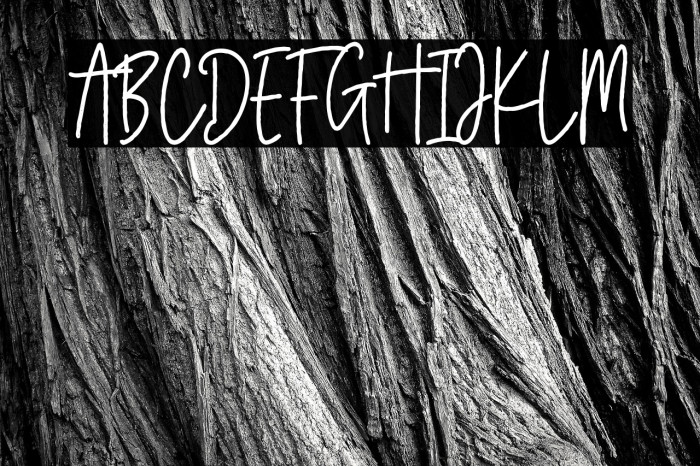 Bersihkan Vector Example 2