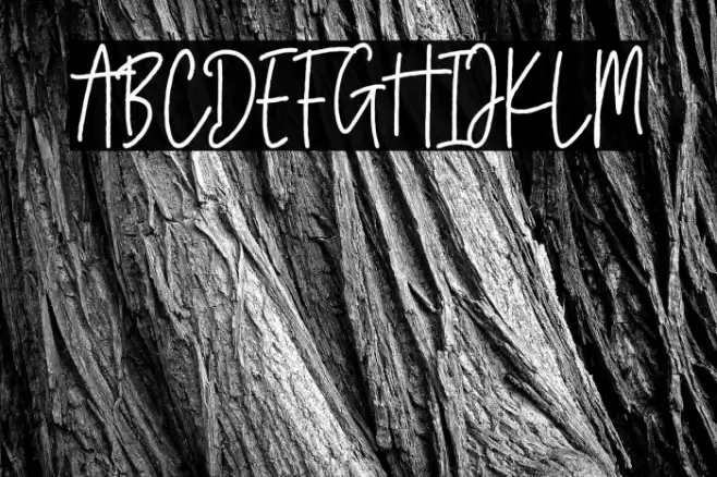 Bersihkan Vector Font examples