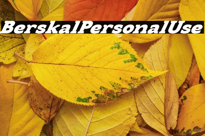 Berskal Personal Use Example 1