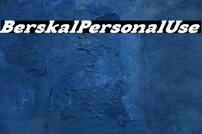 Berskal Personal Use Example 3