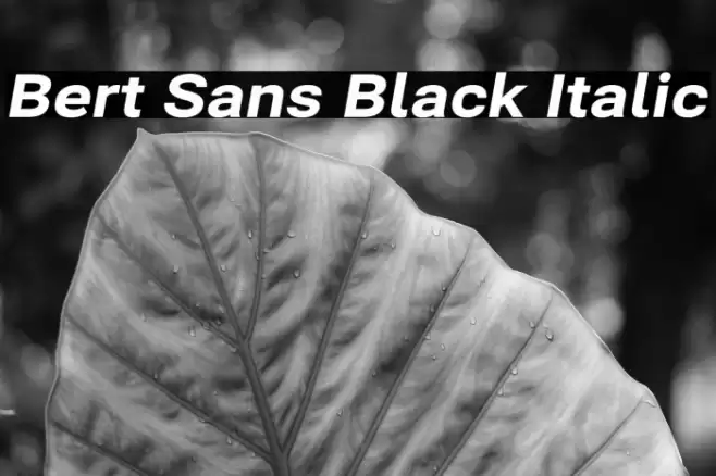 Bert Sans Black Italic Font examples