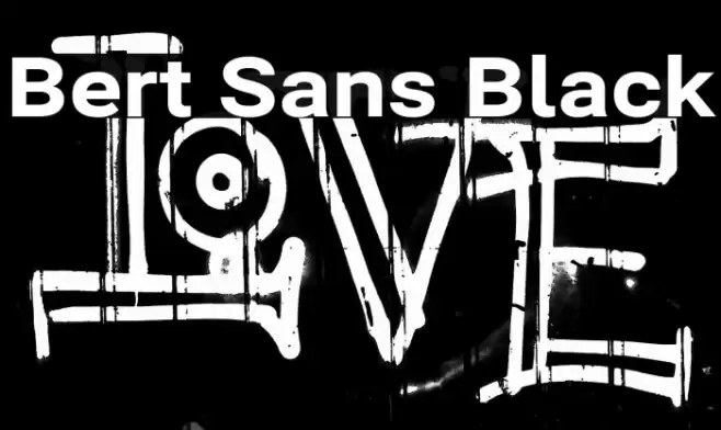 Bert Sans Black Font examples