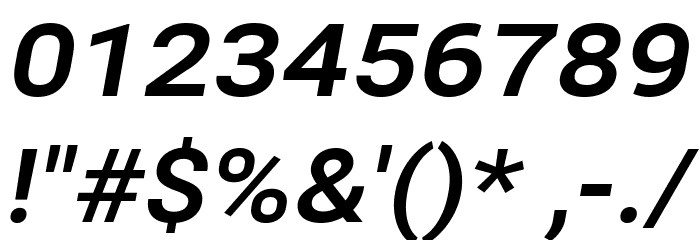 Bert Sans Bold Italic Font OTHER CHARS
