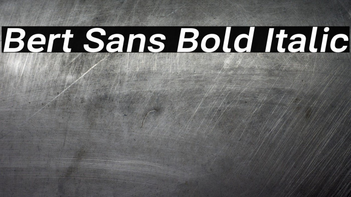 Bert Sans Bold Italic Font examples