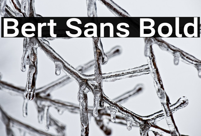 Bert Sans Bold Example 1