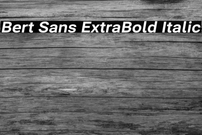 Bert Sans ExtraBold Italic Font examples