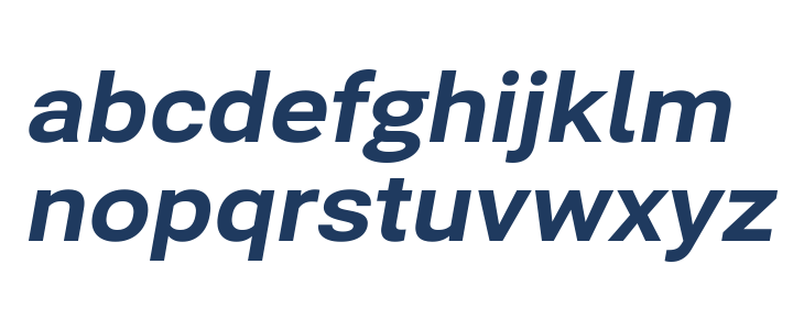 Bert Sans ExtraBold Italic Lowercase