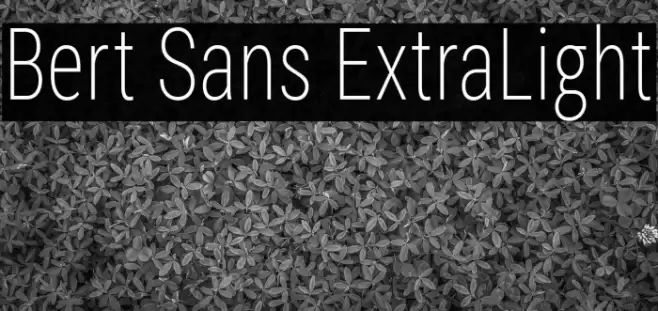 Bert Sans ExtraLight Font examples