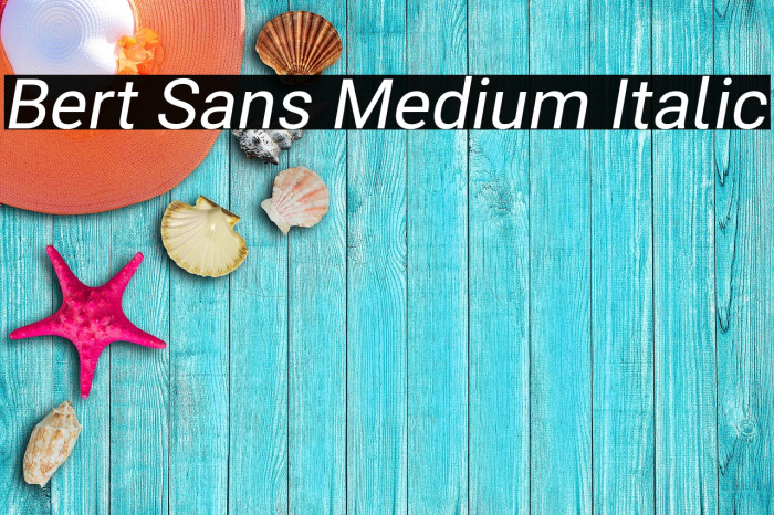 Bert Sans Medium Italic Example 1