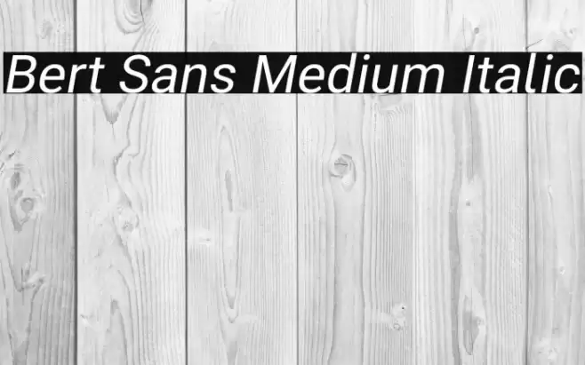 Bert Sans Medium Italic Font examples