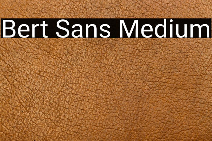 Bert Sans Medium Example 1