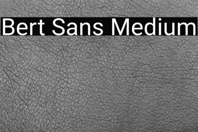 Bert Sans Medium Font examples