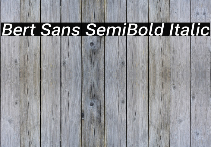 Bert Sans SemiBold Italic Font examples