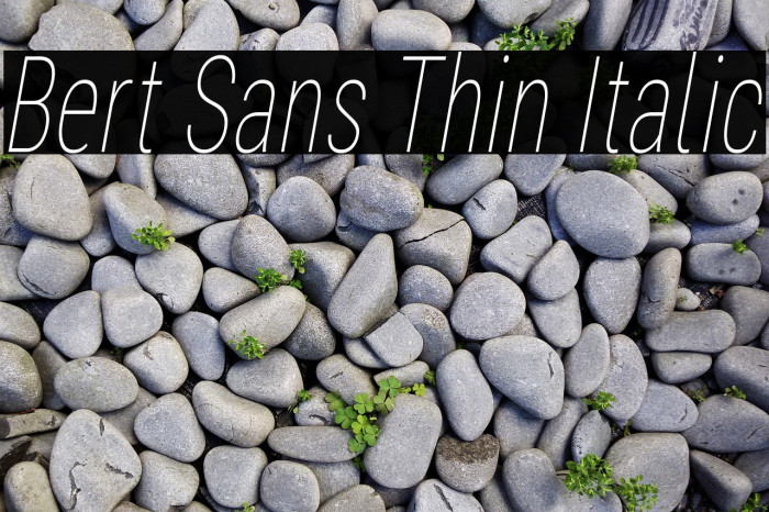Bert Sans Thin Italic Font examples