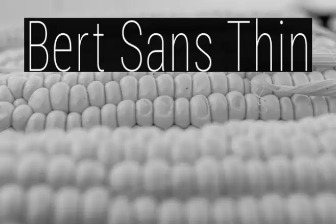 Bert Sans Thin Font examples