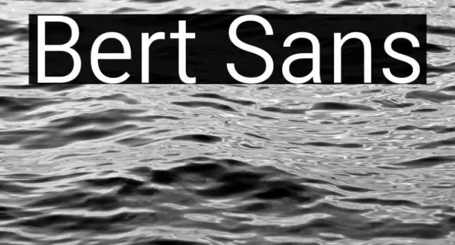 Bert Sans Font examples
