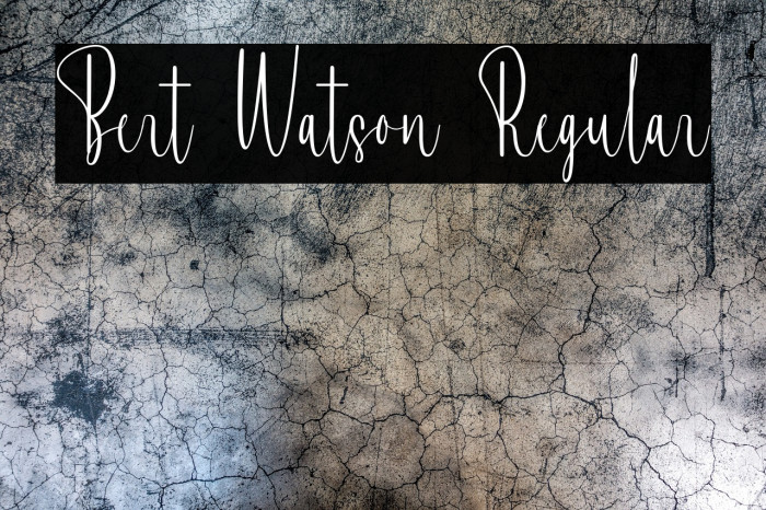 Bert Watson Regular Example 1