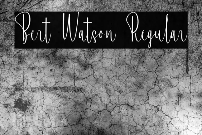 Bert Watson Regular Fonte examples