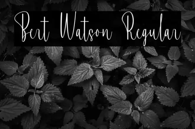 Bert Watson Regular Fonte examples