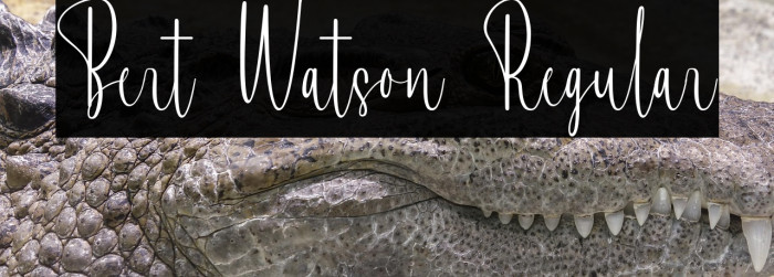 Bert Watson Regular Example 3