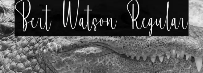 Bert Watson Regular Fonte examples