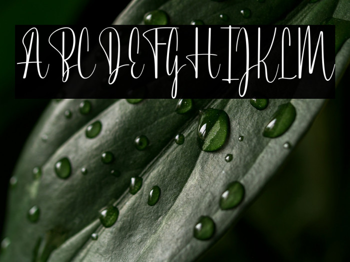 BertWatson-Regular Example 3