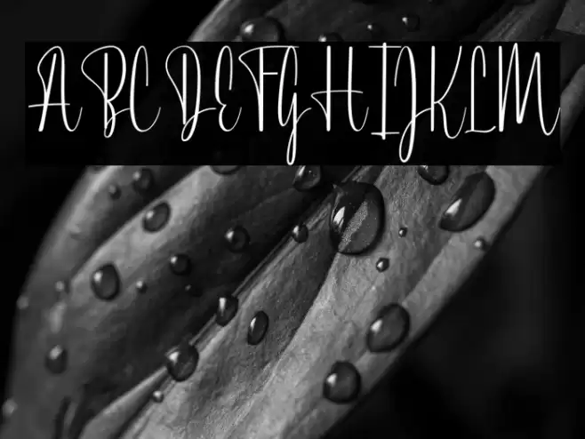 BertWatson-Regular Fonte examples