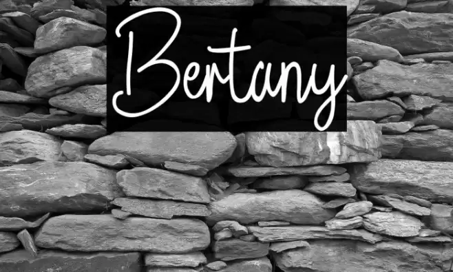 Bertany Font examples