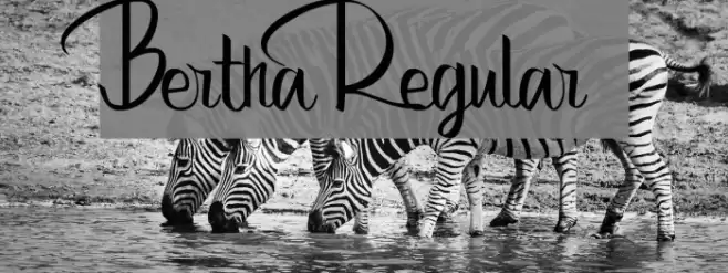 Bertha Regular Font examples