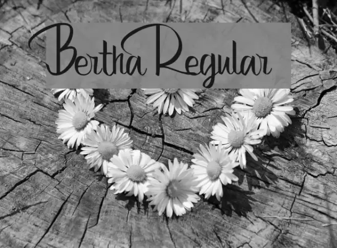 Bertha Regular Font examples