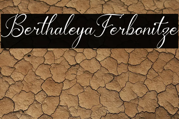 Berthaleya Ferbonitze Example 3