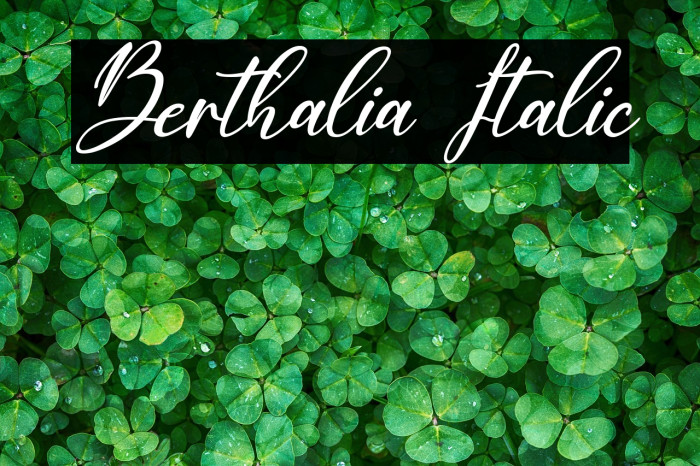 Berthalia Italic Example 2