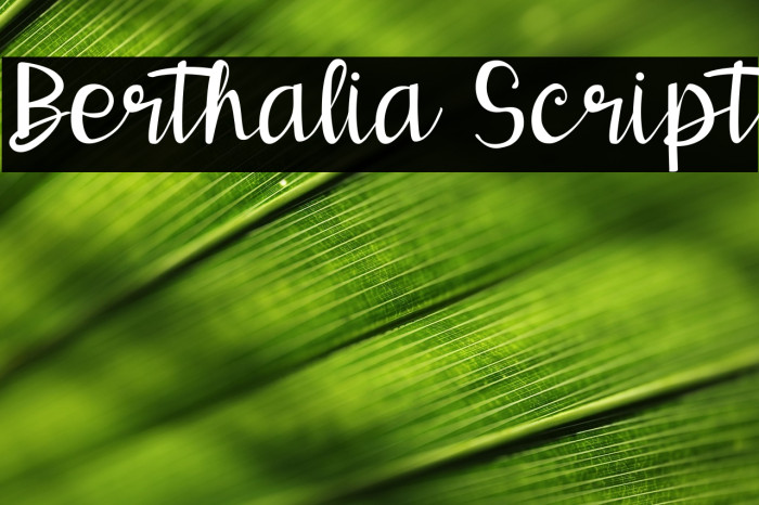 Berthalia Script Example 1