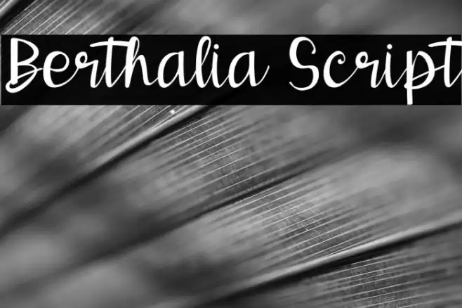 Berthalia Script Font examples