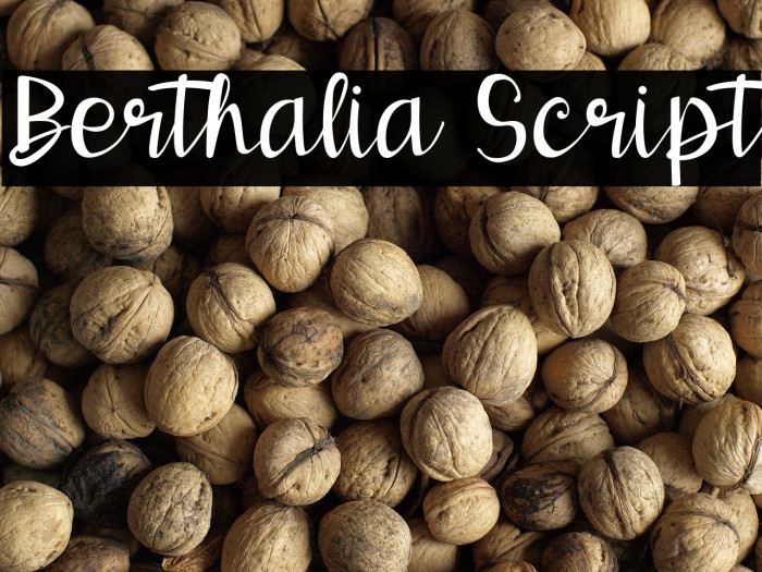 Berthalia Script Example 2