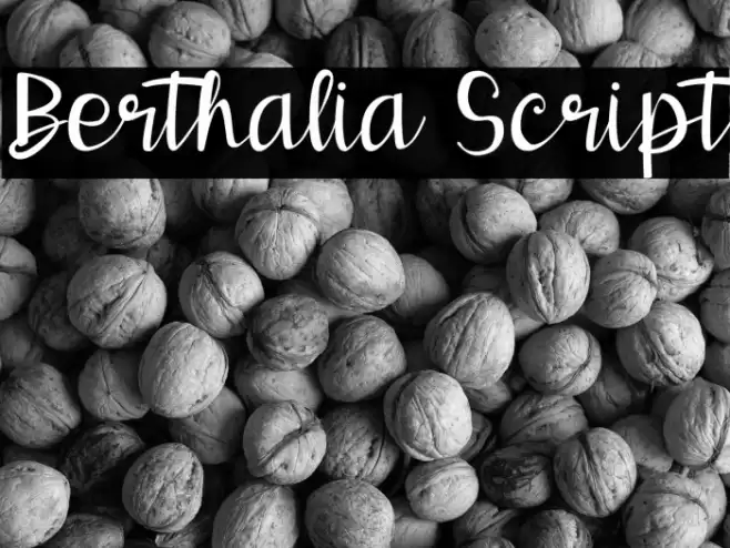 Berthalia Script Font examples