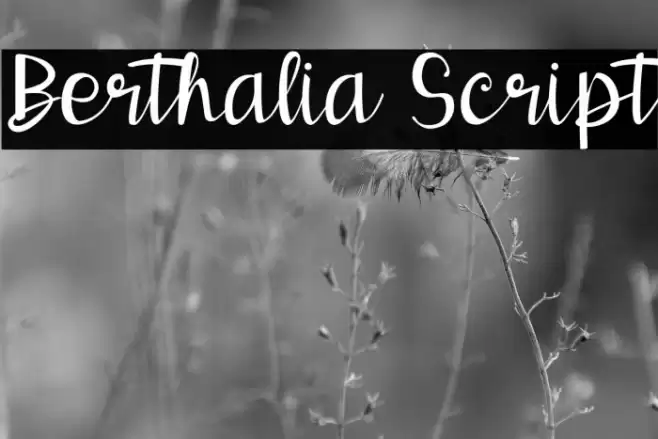 Berthalia Script Font examples