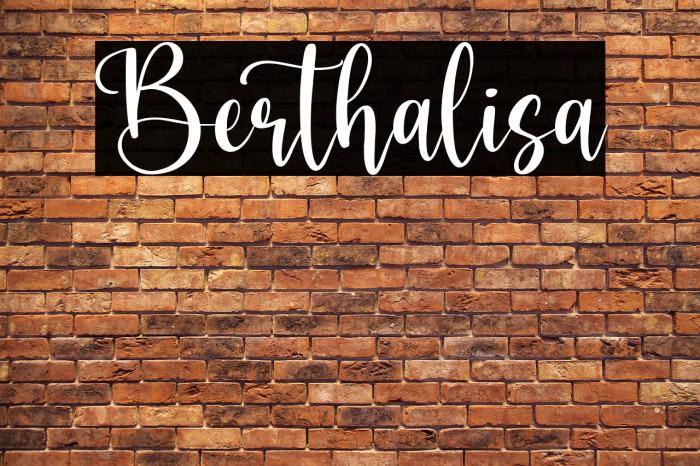 Berthalisa Example 1