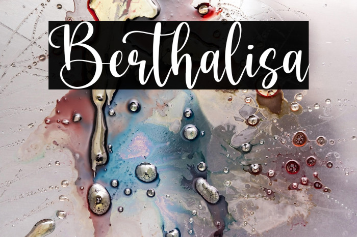 Berthalisa Example 2