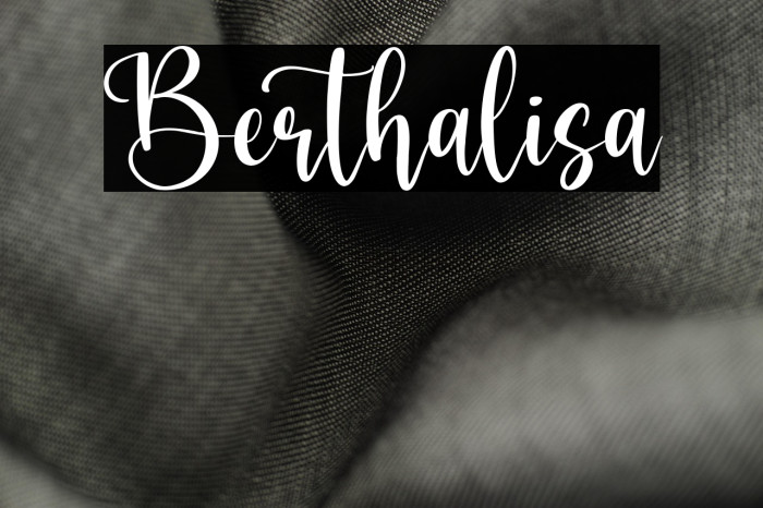 Berthalisa Example 3