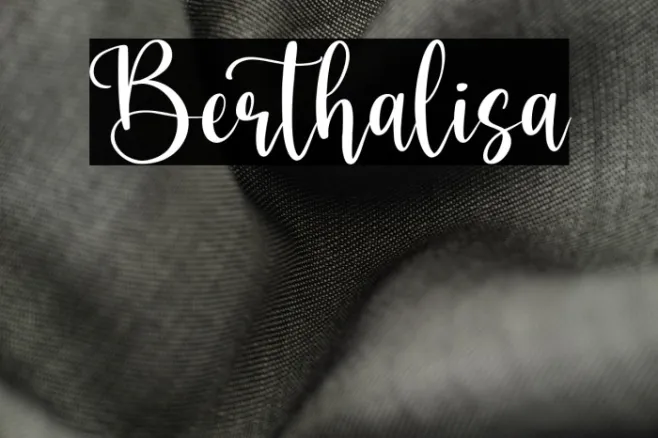 Berthalisa Example 3