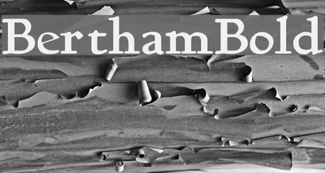 BerthamBold Font examples