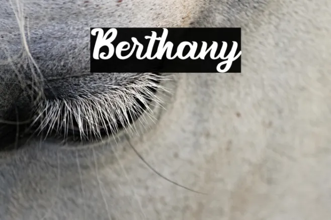Berthany Example 1