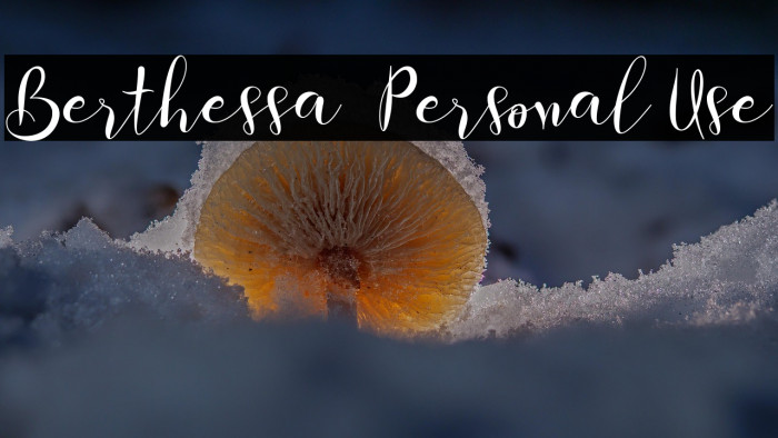 Berthessa - Personal Use Example 2