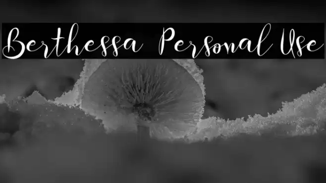 Berthessa - Personal Use Font examples