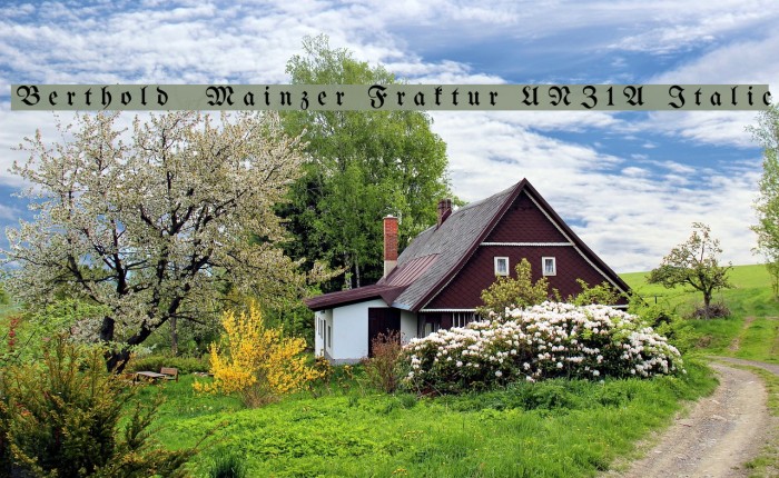 Berthold Mainzer Fraktur UNZ1A Italic Font examples